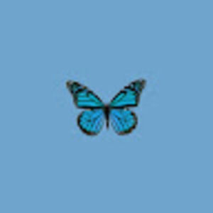 Meet your Posher, Arjun